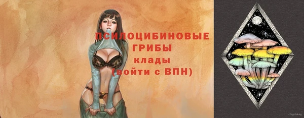 шишки Абинск