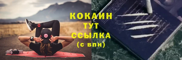 шишки Абинск