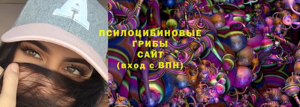 шишки Абинск