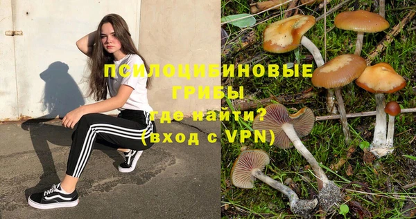 стаф Алексеевка