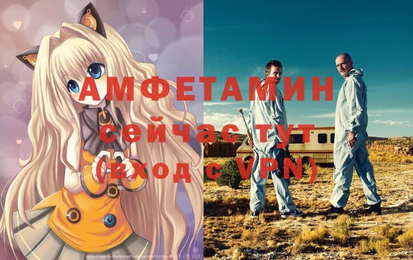 шишки Абинск