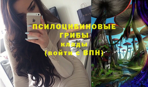 бошки Алексин