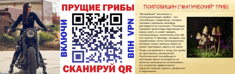 Псилоцибиновые грибы мицелий  Почеп 